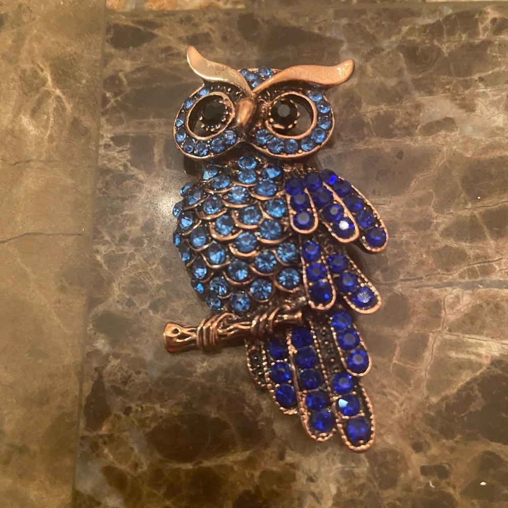 Owl brooch